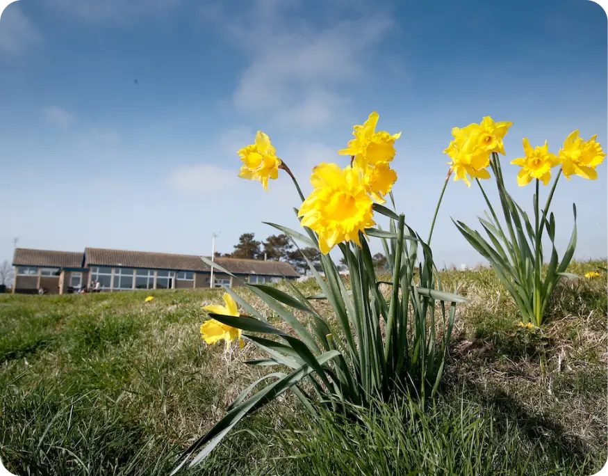 clubhouse