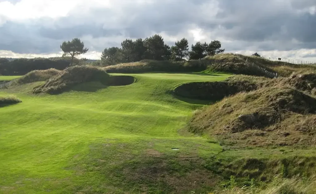 Shrubbery on golf course