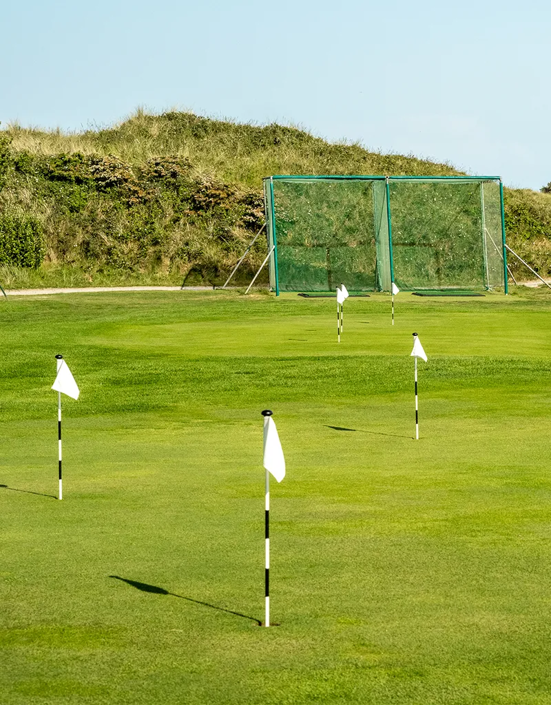 Practice green with net